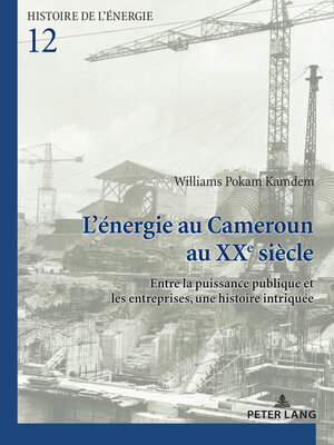 cover image of Lénergie au Cameroun